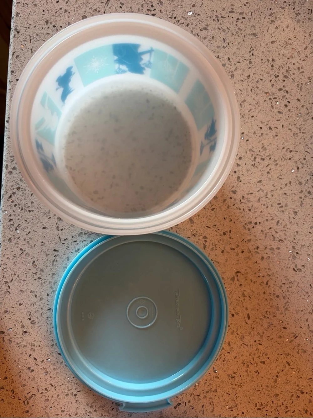 Tupperware Frozen kids cake holder and plates.
